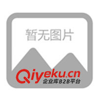 美國(guó)TEKLEEN自清洗過(guò)濾器